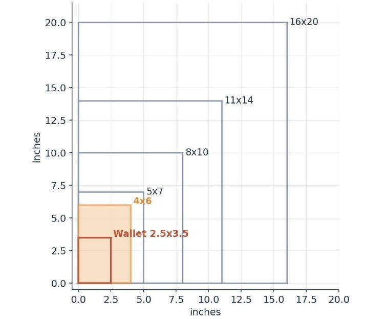 How 4x6 Compares to 5x7, 8x10, and Bigger
