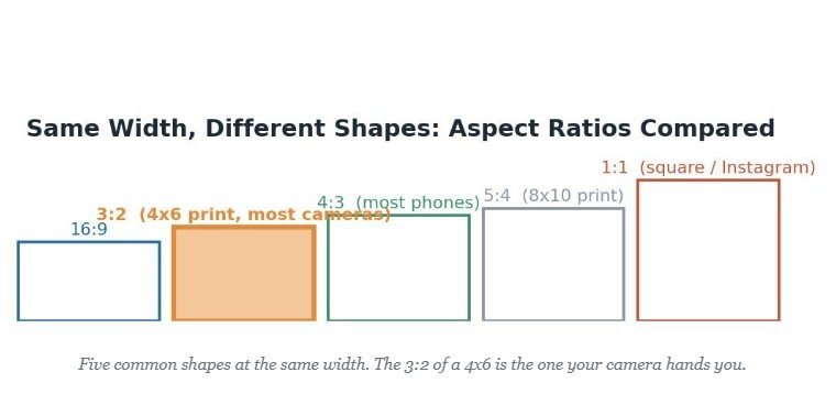 Why a 4x6 Is Shaped the Way It Is